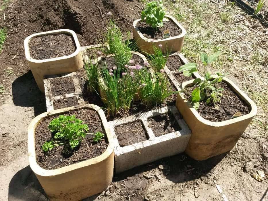 A Raised Garden