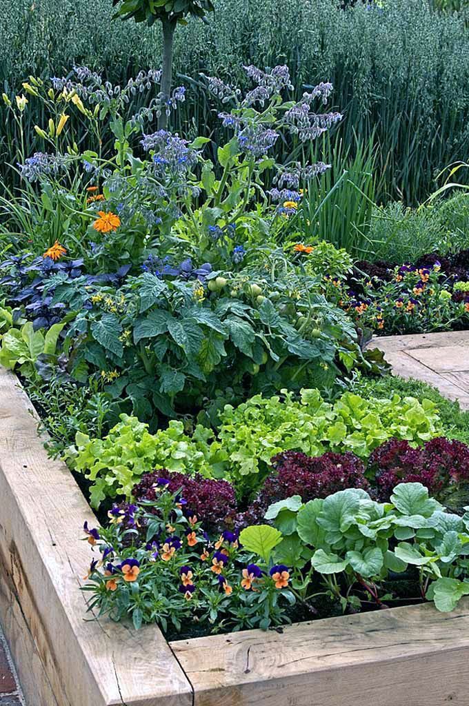Vegetable Zen Garden Ideas