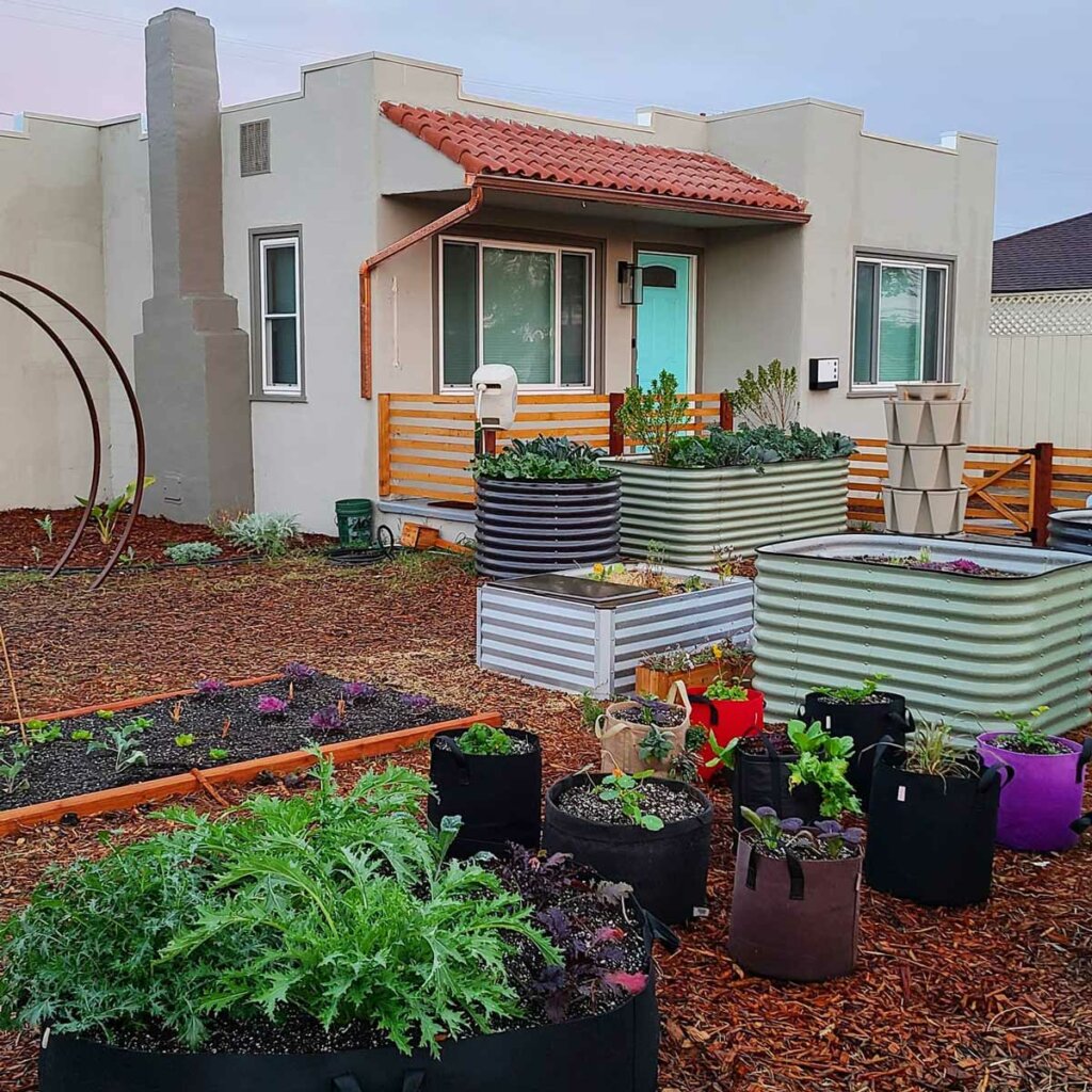 An Alternative Plant Container