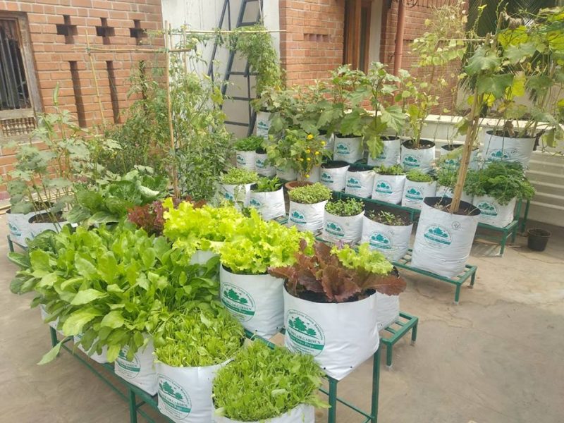 Grow Bag Terrace Kit Plant Stand