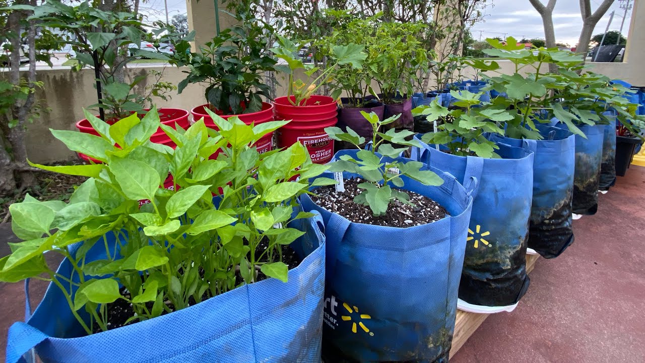 Raised Garden Bed Grow Bags
