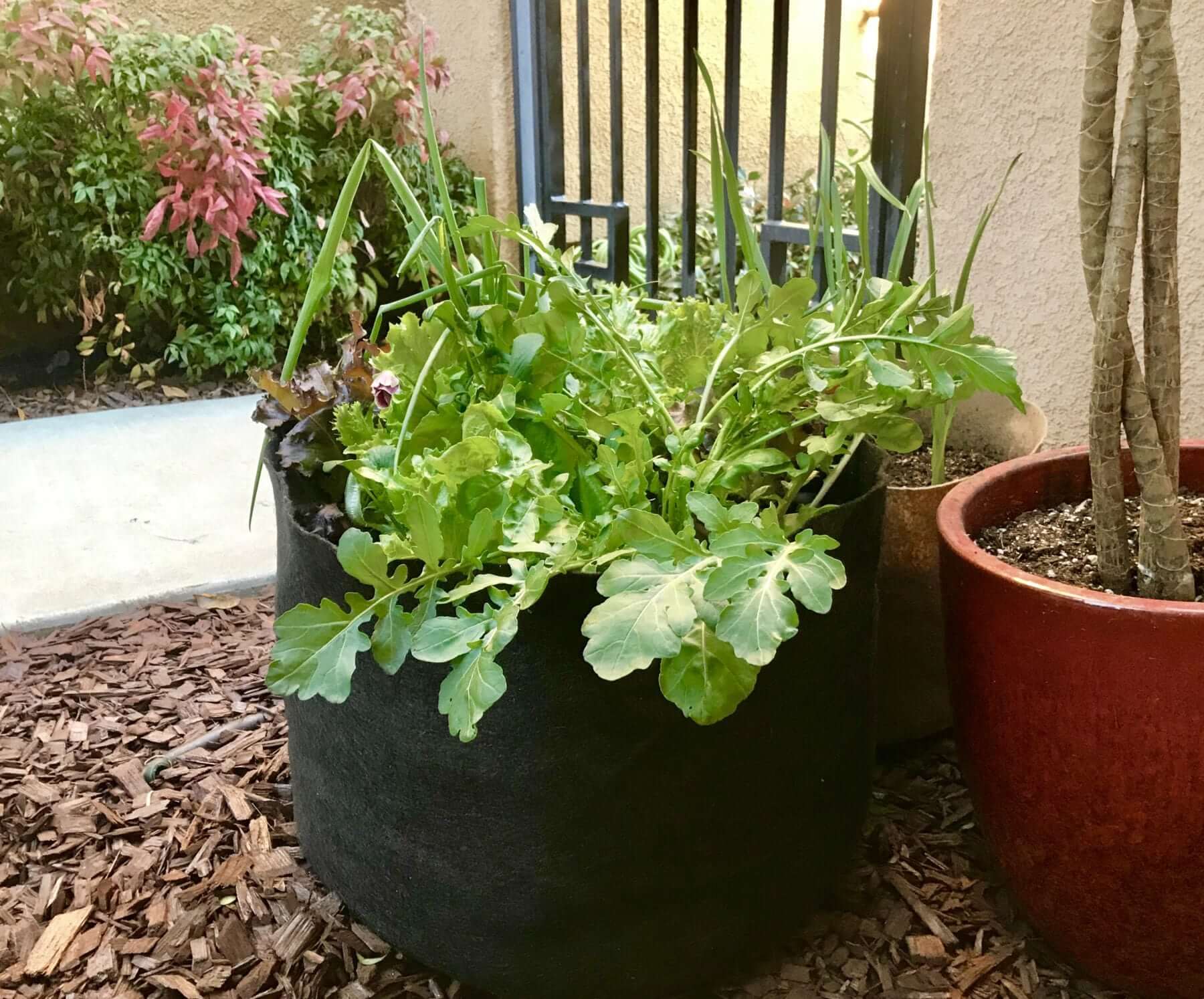 Raised Garden Bed Round Garden Grow Bag Garden Flower