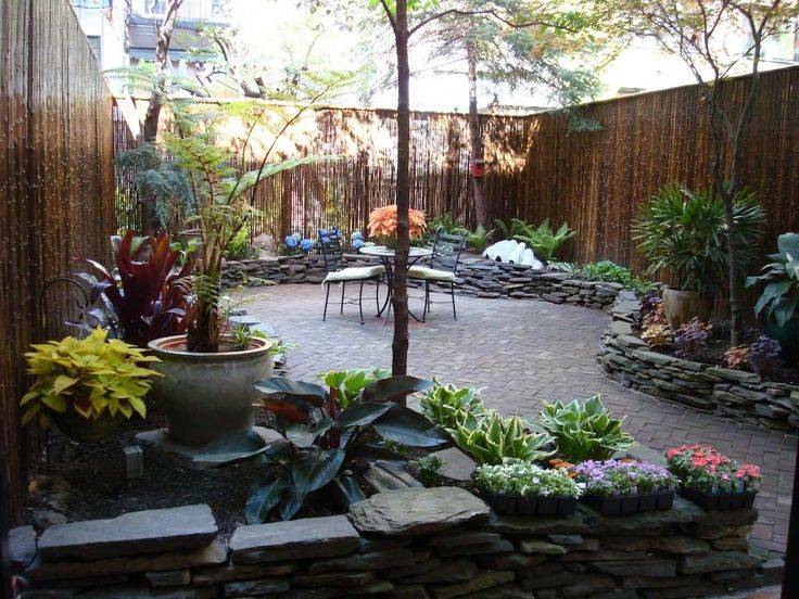 Growing A Vegetable Garden