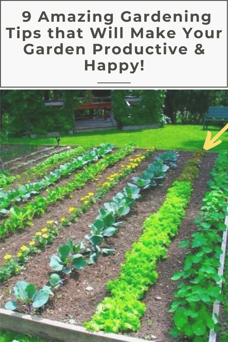 Impressive Diy Ideas