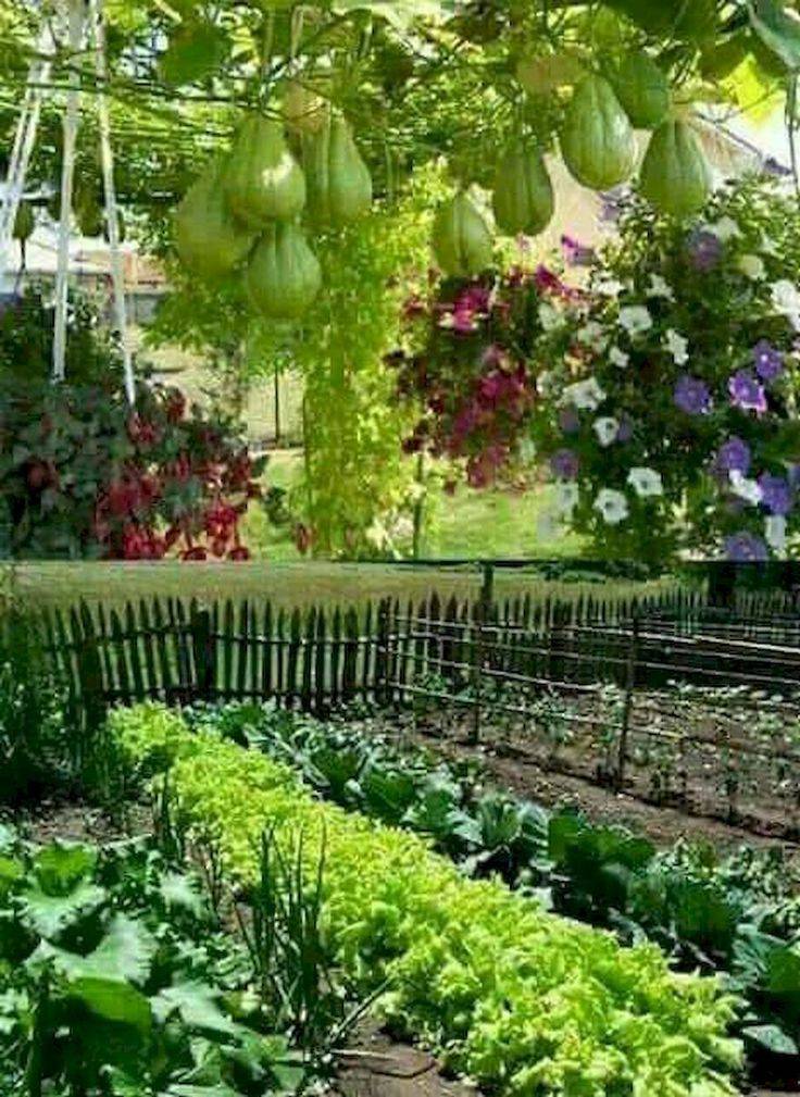 Fabulous Backyard Vegetable Garden Design Ideas