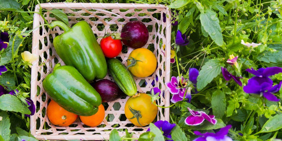 Interesting Container Vegetable Gardening Ideas