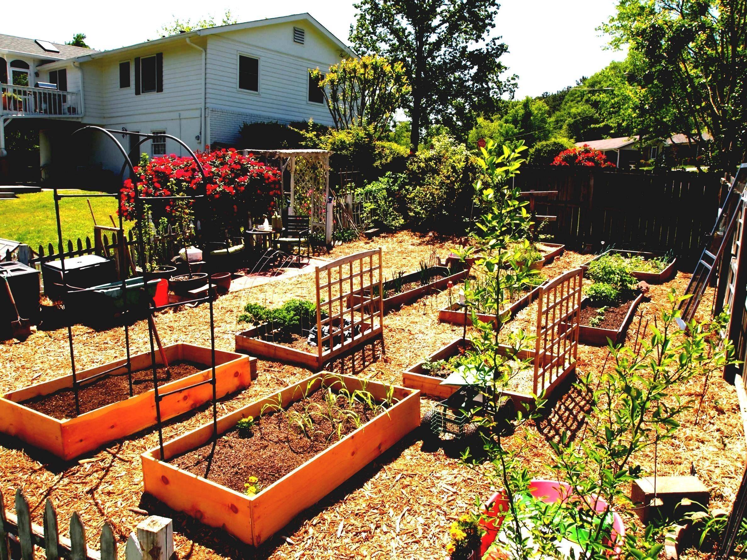 Brilliant Vegetable Garden Layout Ideas