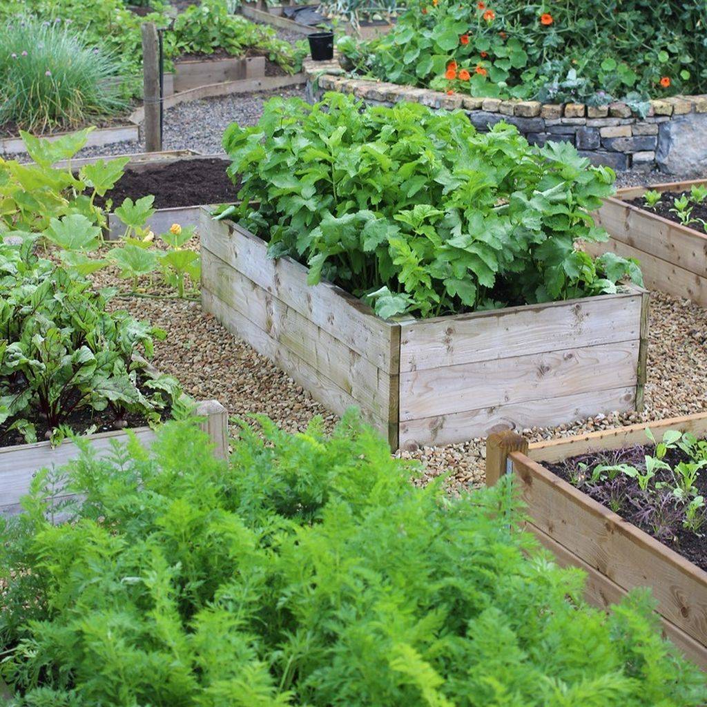 Gorgeous Vegetable Gardening