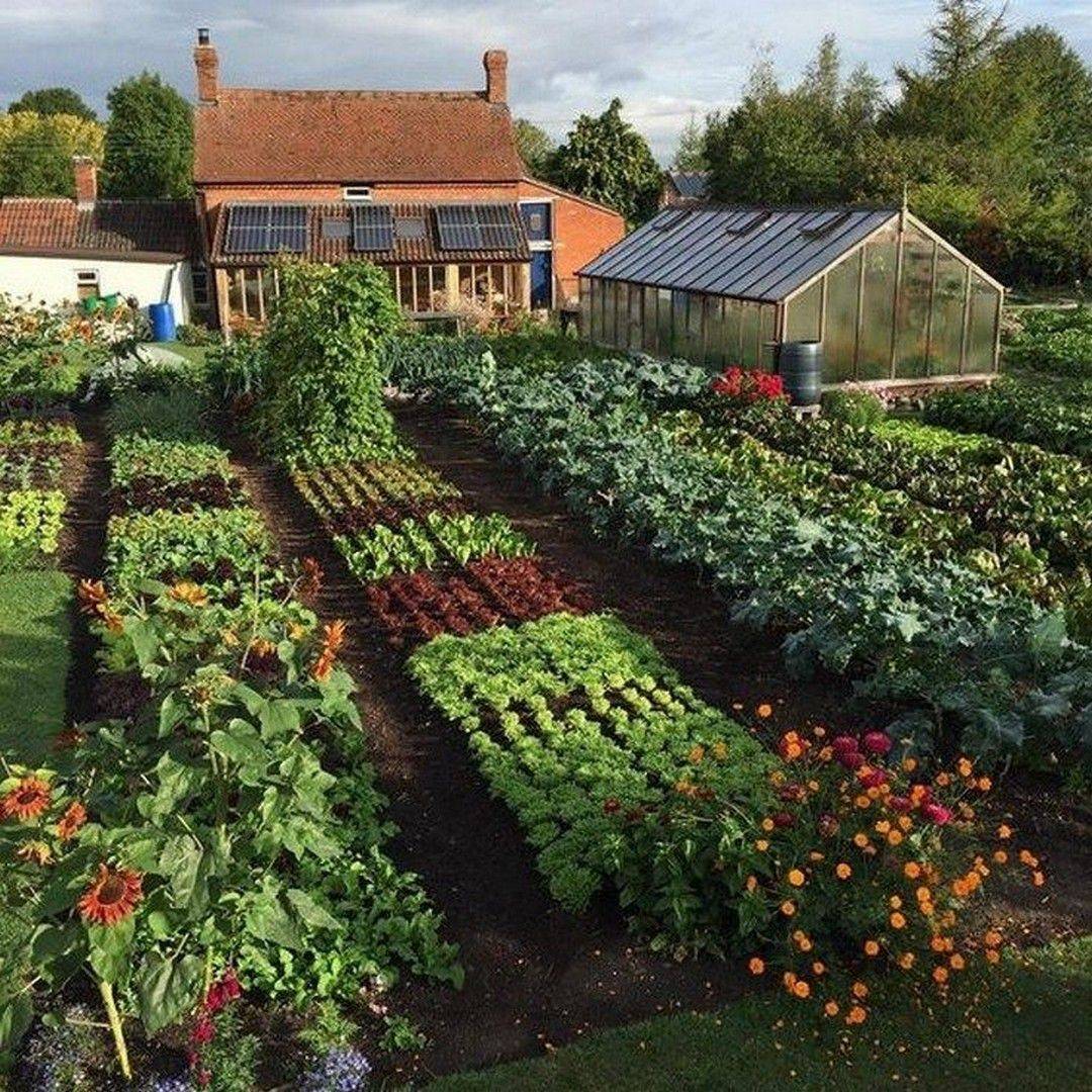 Best Vegetable Garden Layout