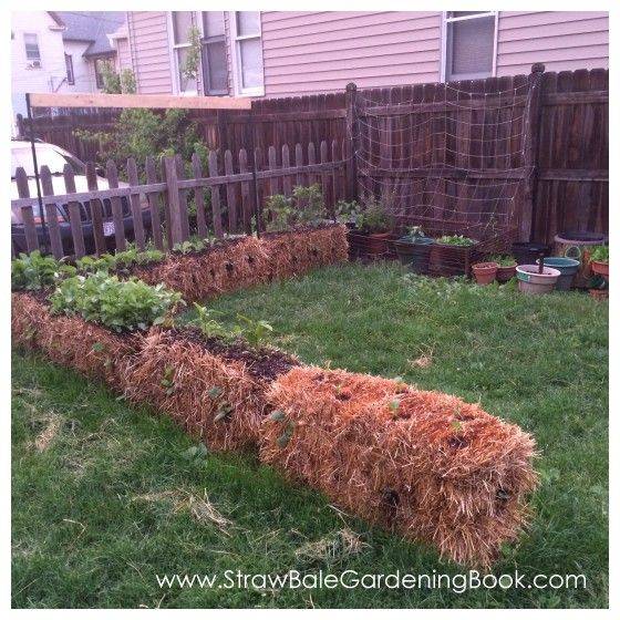 Straw Bale Gardens Straw Bale Gardening