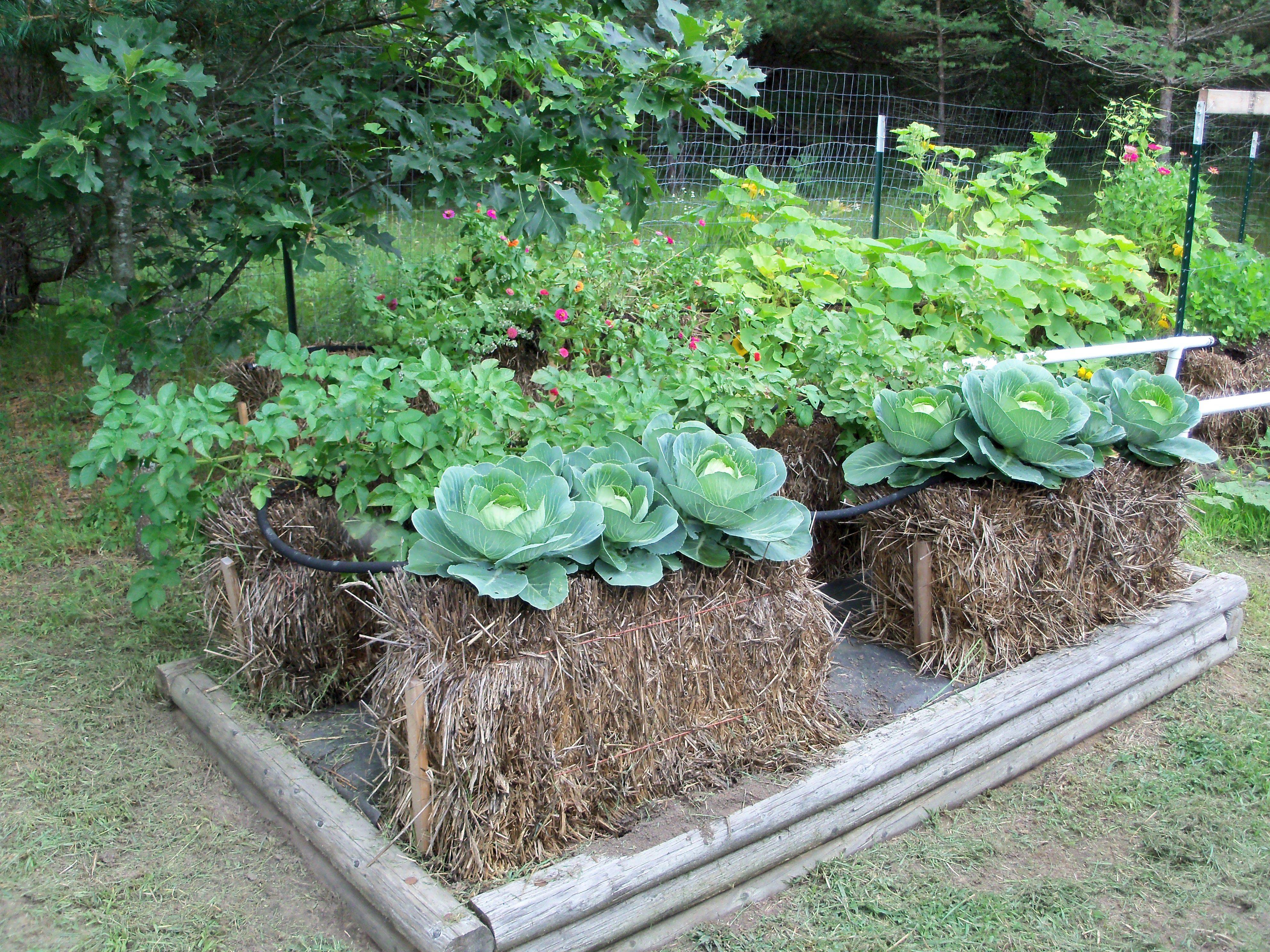 Amazing Raised Bed Gardening Ideas