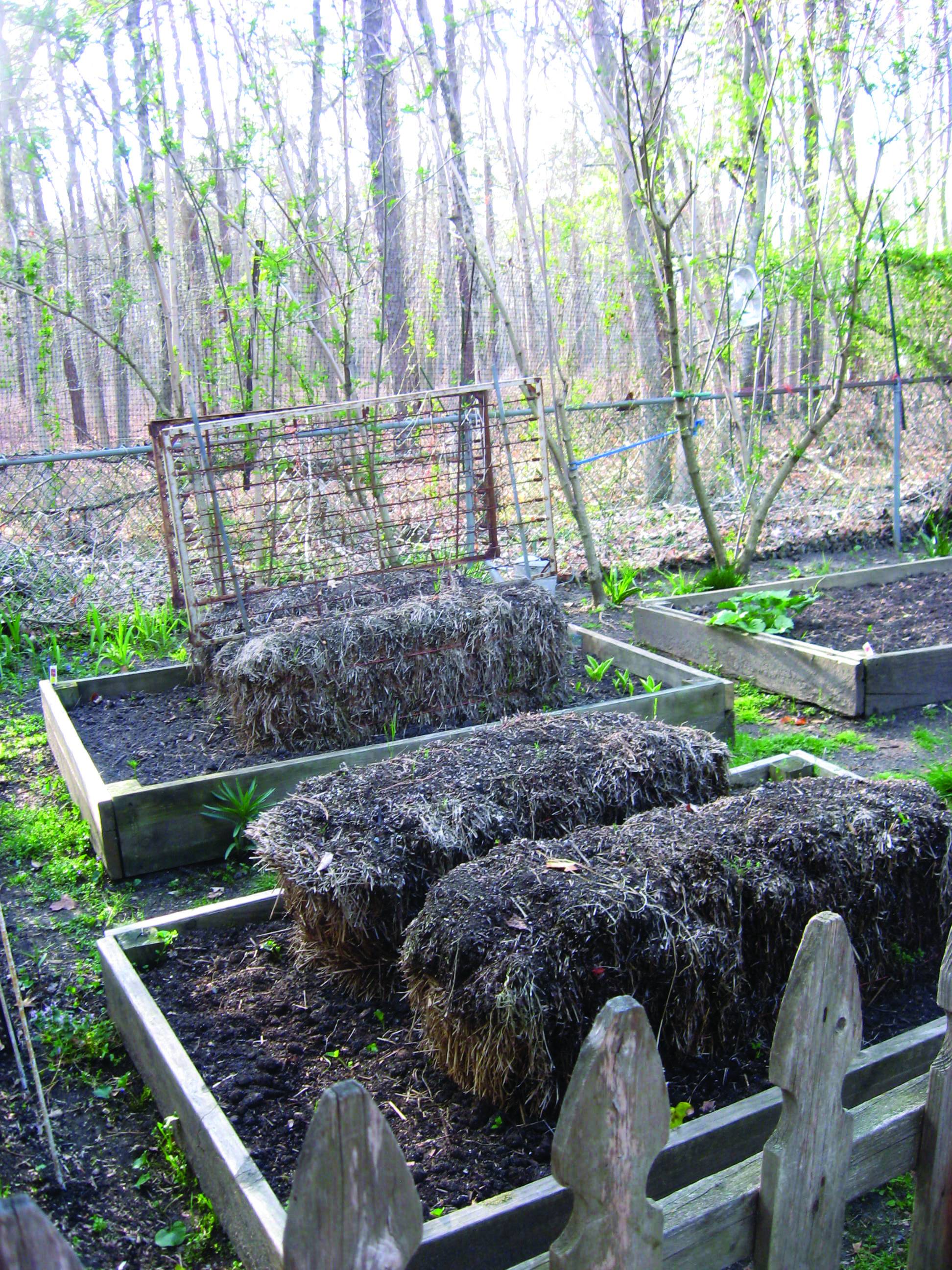 Coastal Home Garden Magazine Springsummer