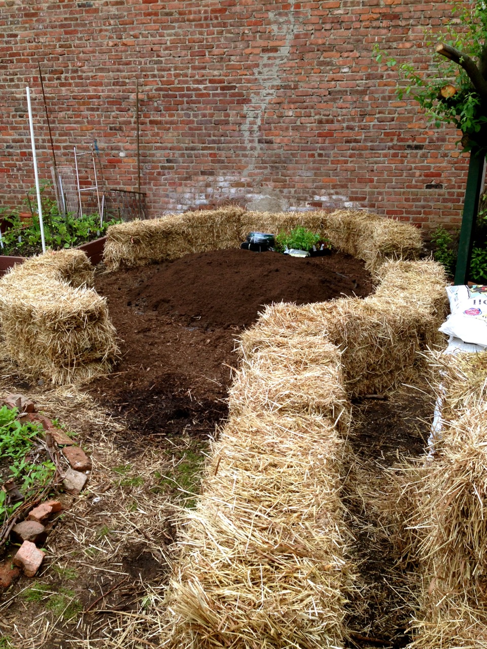 Straw Bale Gardening