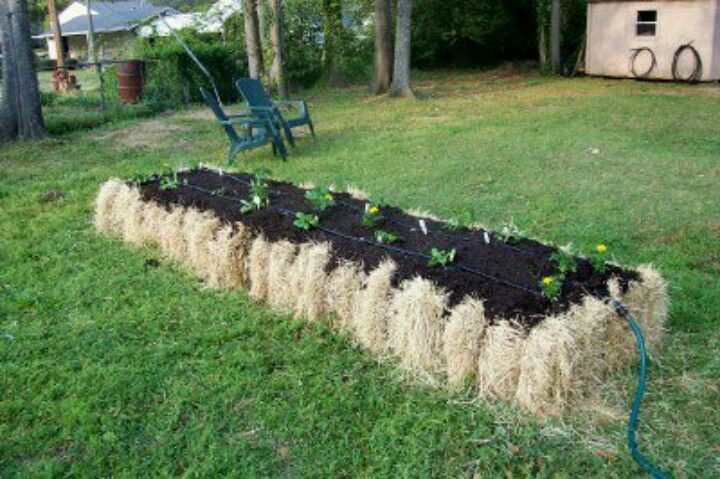 Straw Bale Gardening