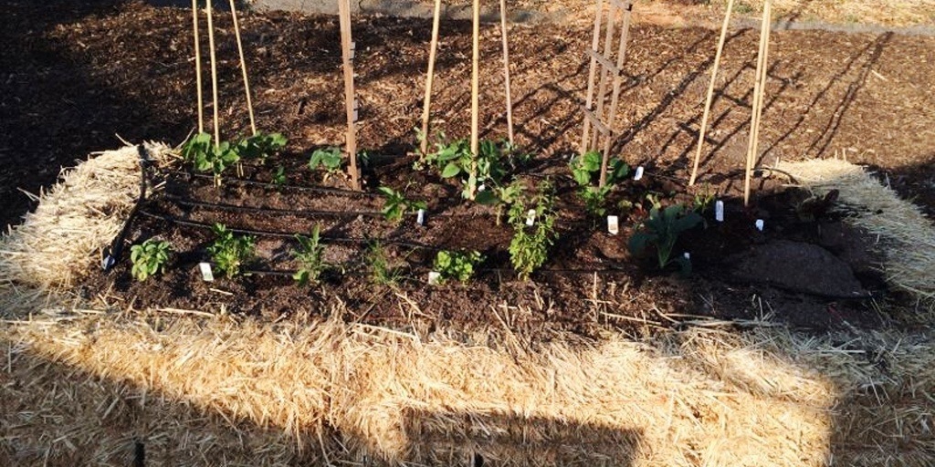 Gardening Incorporating Straw Bales Rs Combo Method