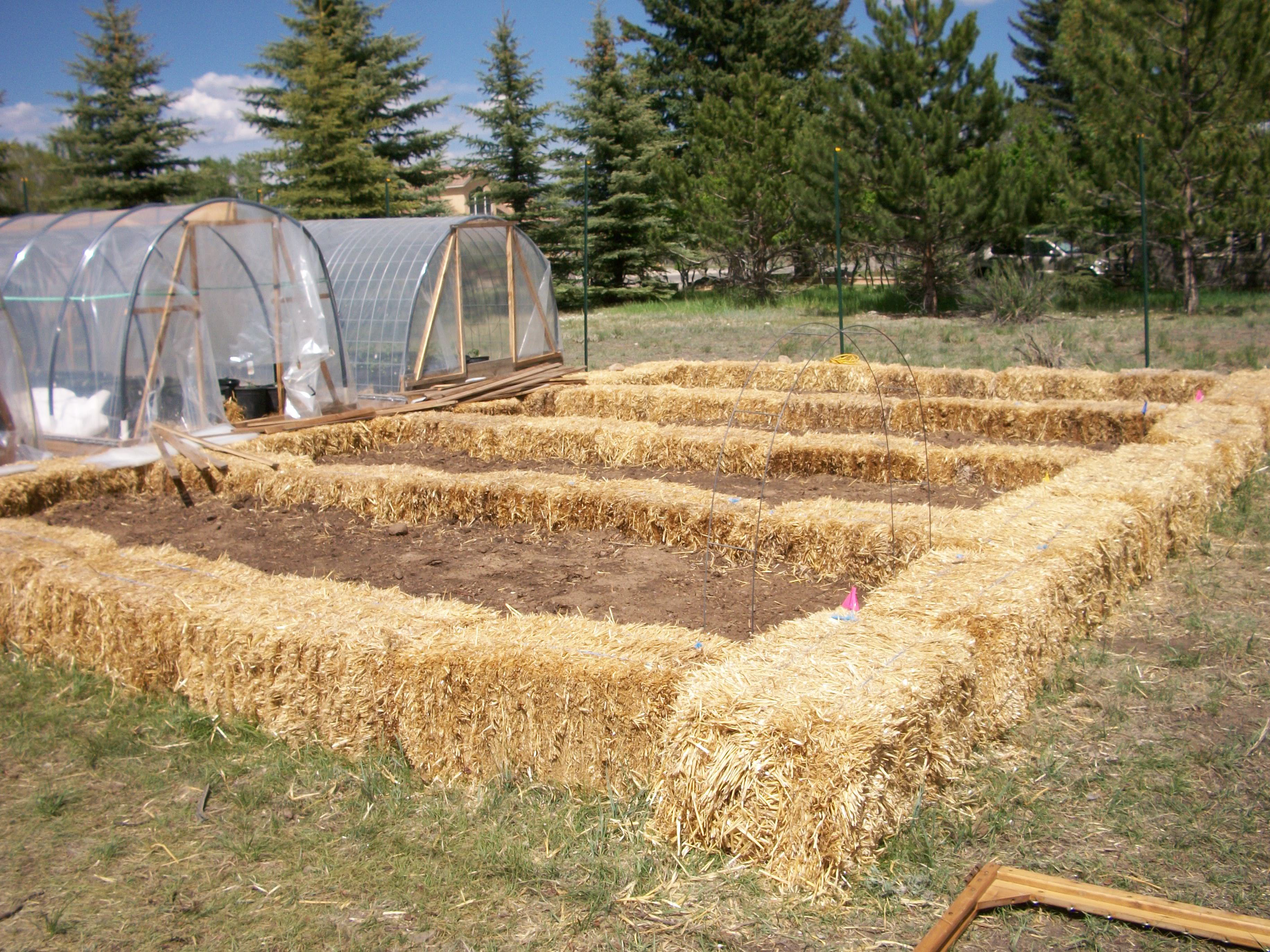 Straw Bale Gardening Straw Bales