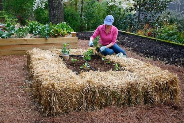 Straw Bale Gardening