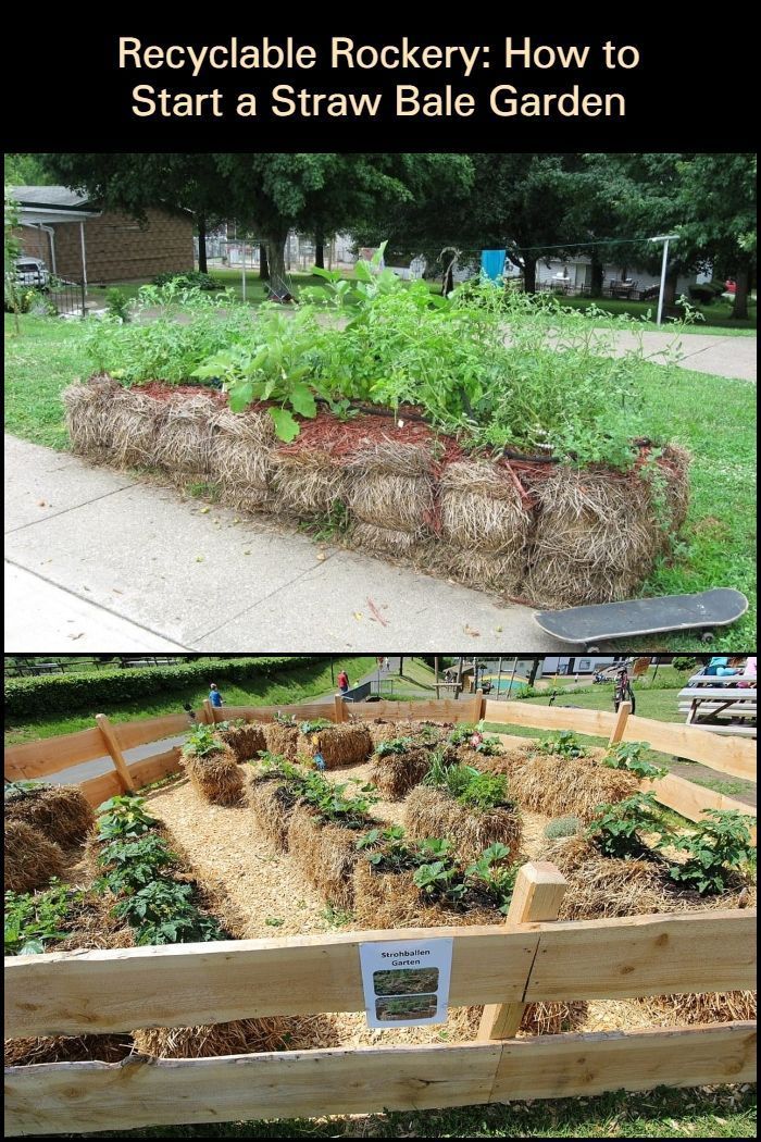 Straw Bale Gardening
