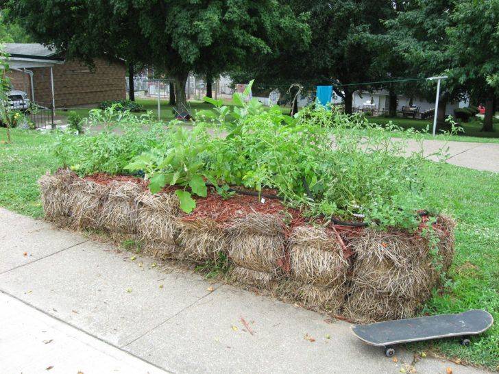 Straw Bale Gardening