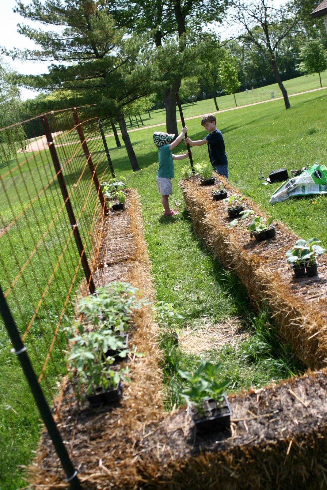 Straw Bale Vegetable Garden