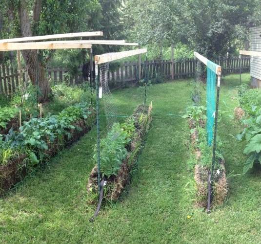 Straw Bale Gardening