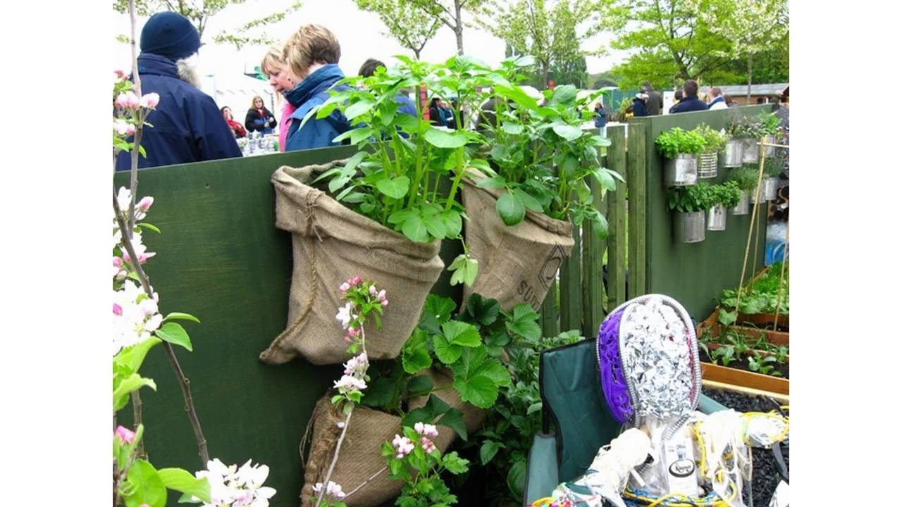 Front Garden Ideas Youtube