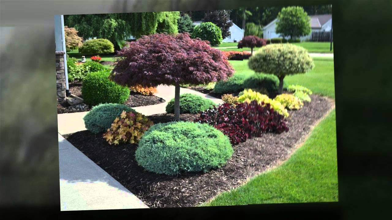 Small Rock Garden Ideas