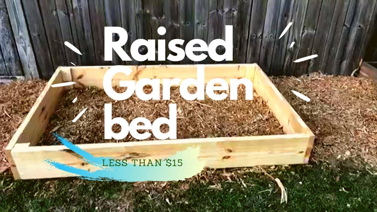 Raised Bed Garden Update Youtube
