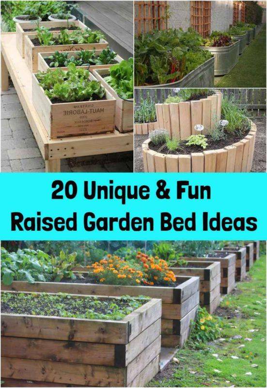 Raised Garden Beds Vegetable Garden