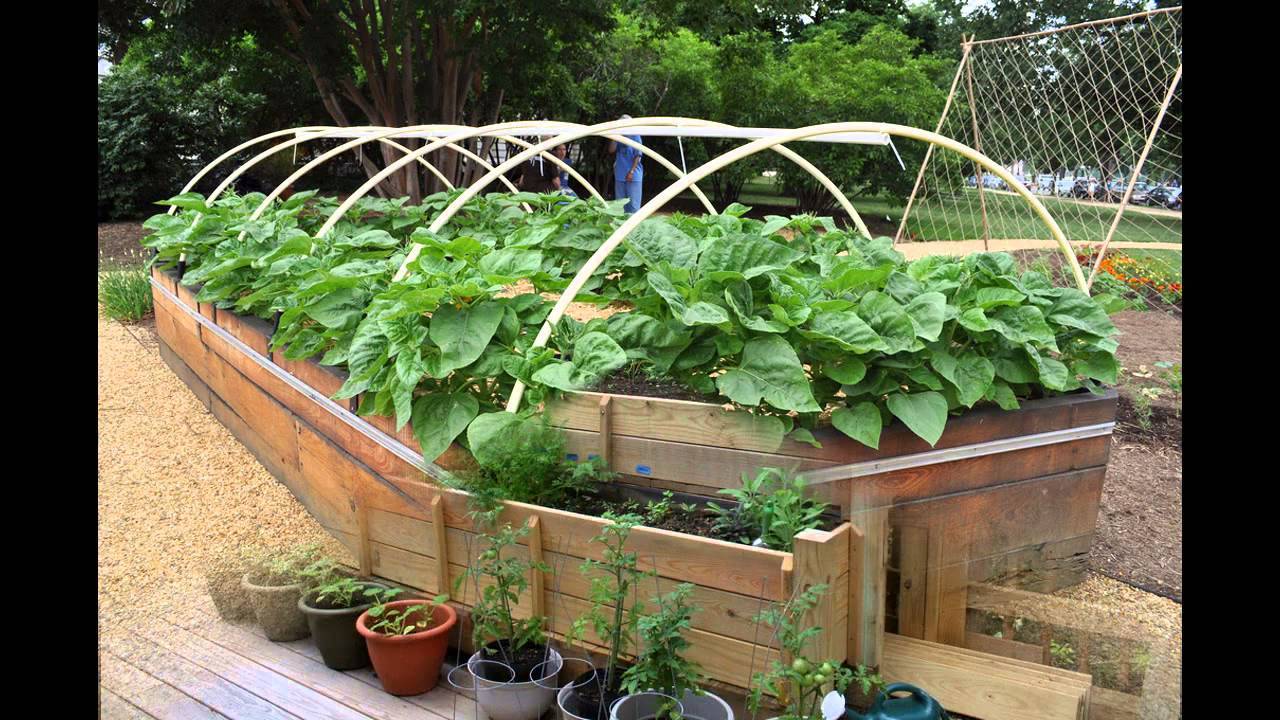 Raised Garden Bed Ideas