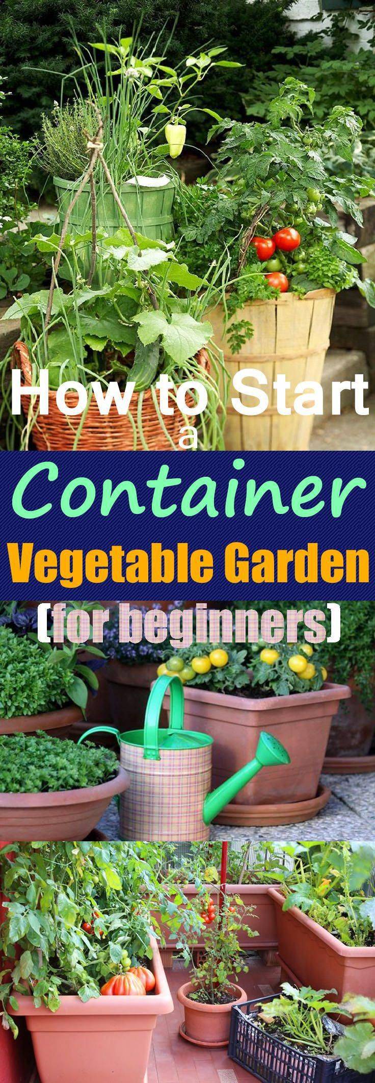 Interesting Container Vegetable Gardening Ideas