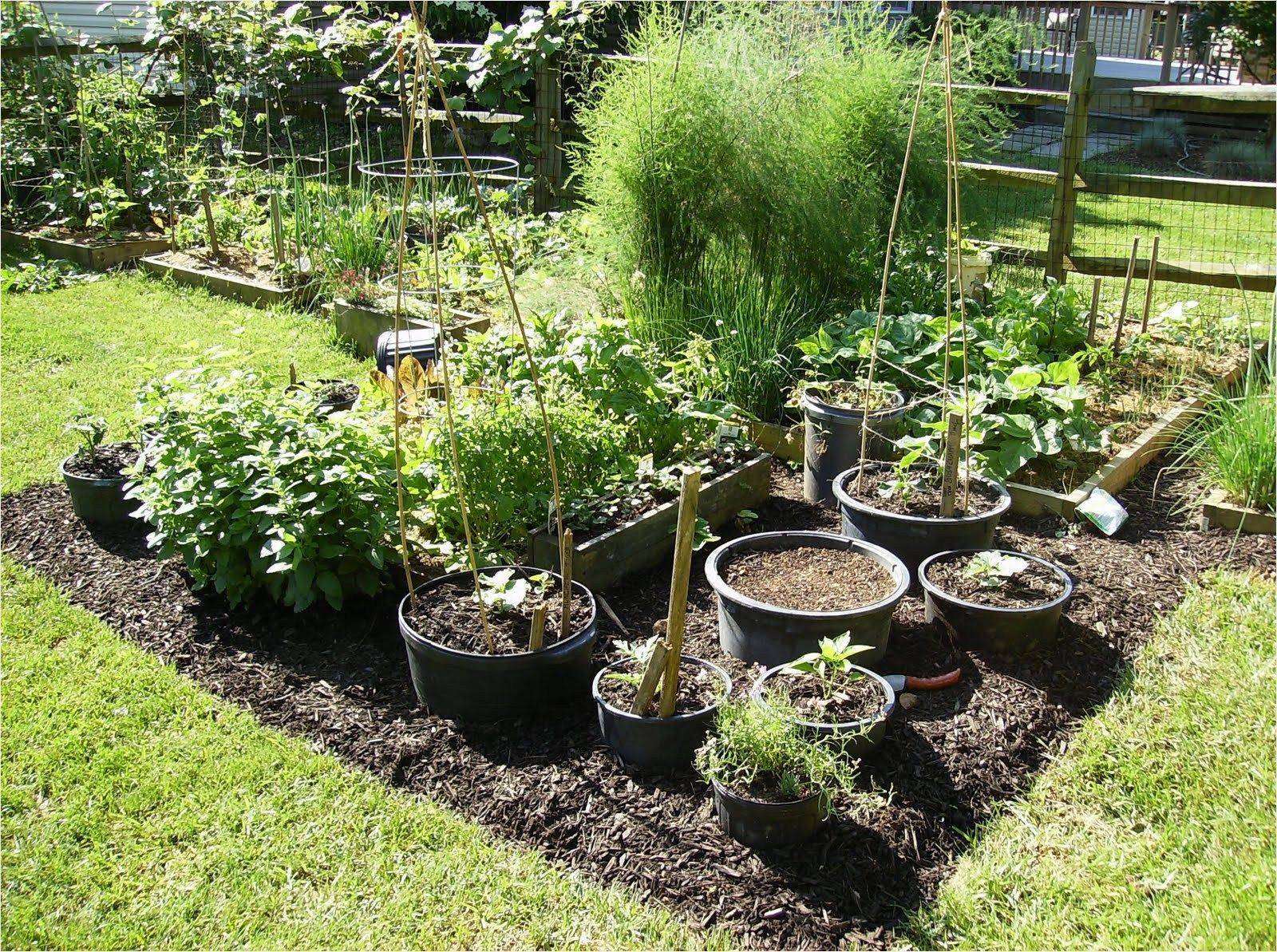 Interesting Container Vegetable Gardening Ideas