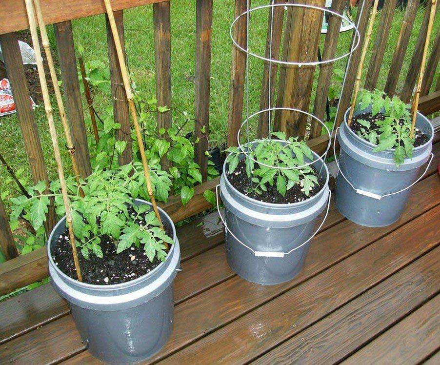 Interesting Container Vegetable Gardening Ideas