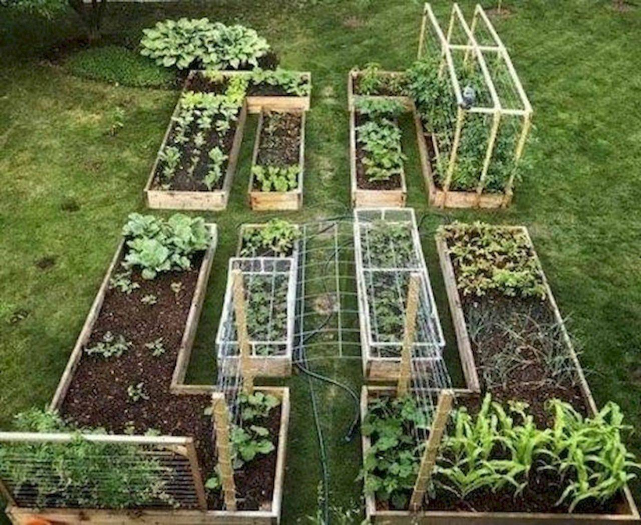 Easy Vegetable Garden Layout Ideas