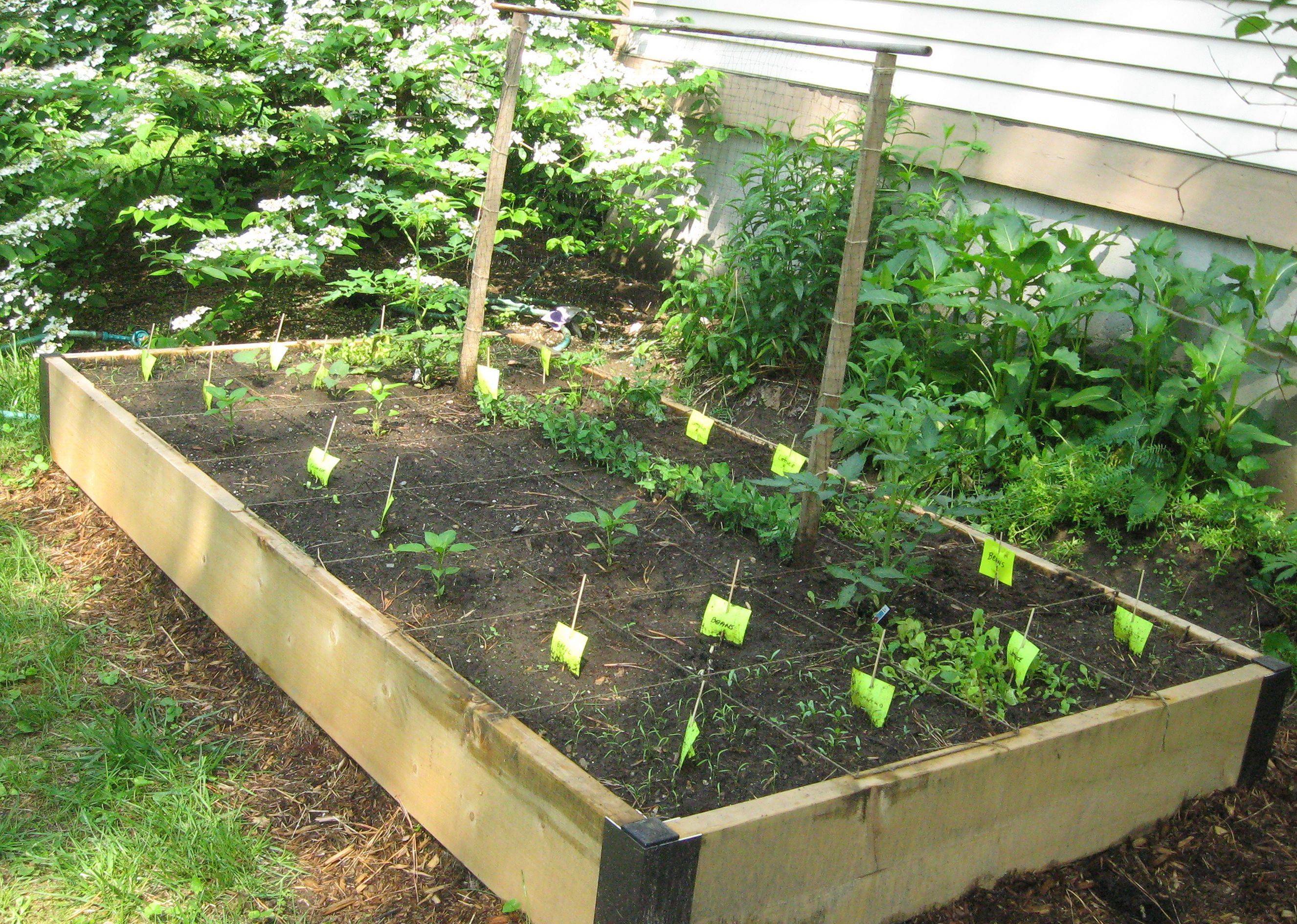 Brilliant Vegetable Garden Layout Ideas