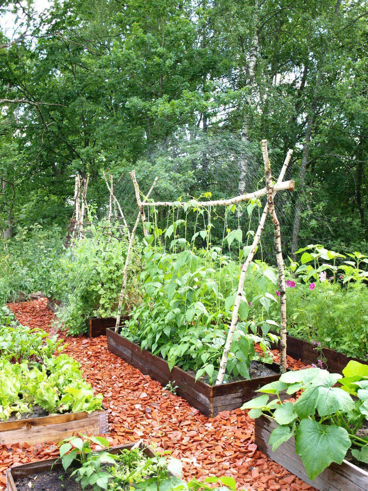 Gorgeous Vegetable Gardening