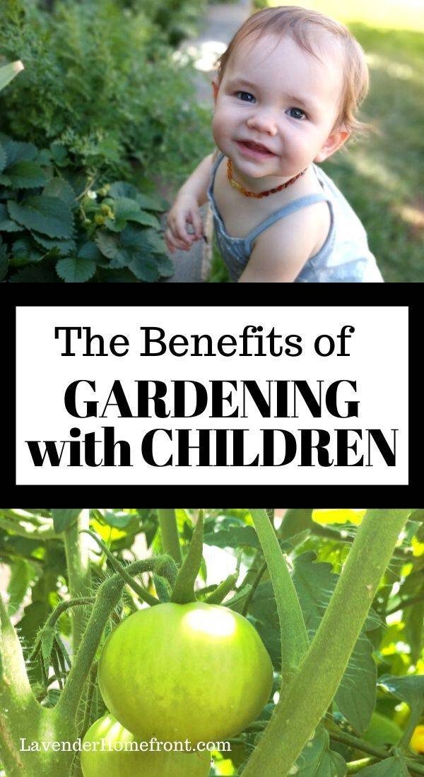 Gardening Earth Friendly Tips