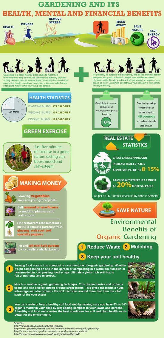 Gardening Earth Friendly Tips Benefits