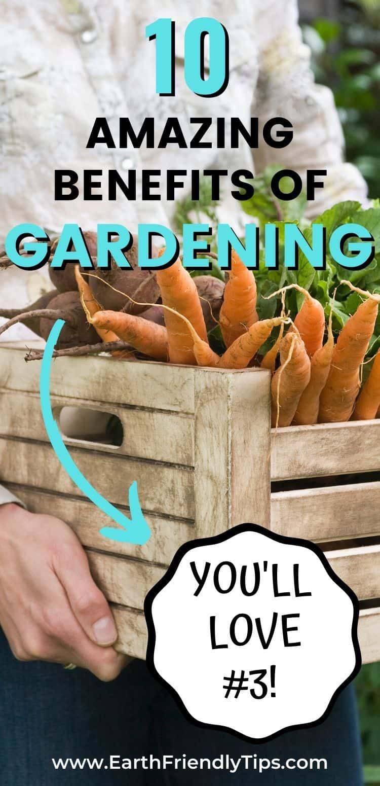 Community Garden Benefits Garage Ideas