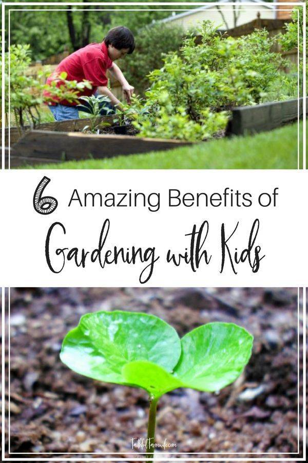 Gardening Infographic
