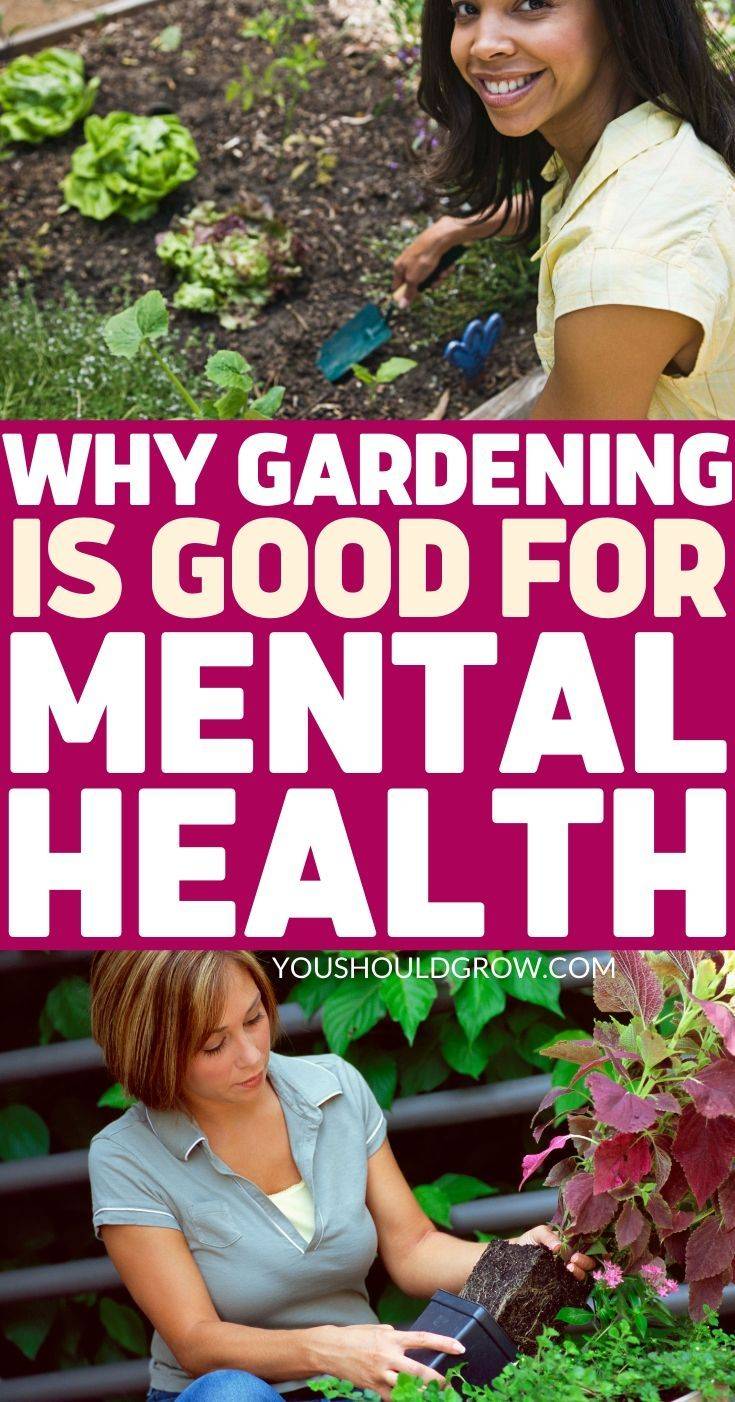 The Health Benefits Reclaiming Vitality