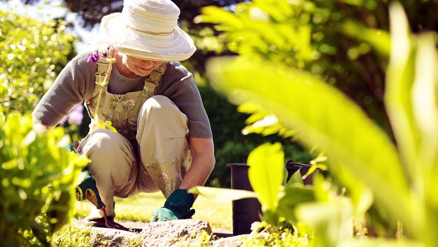 Urban Gardening Ideas House Generation