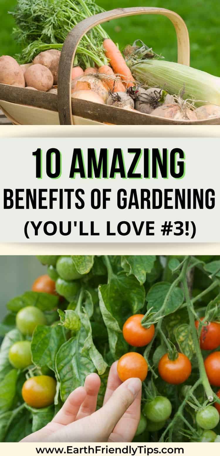 The Benefits