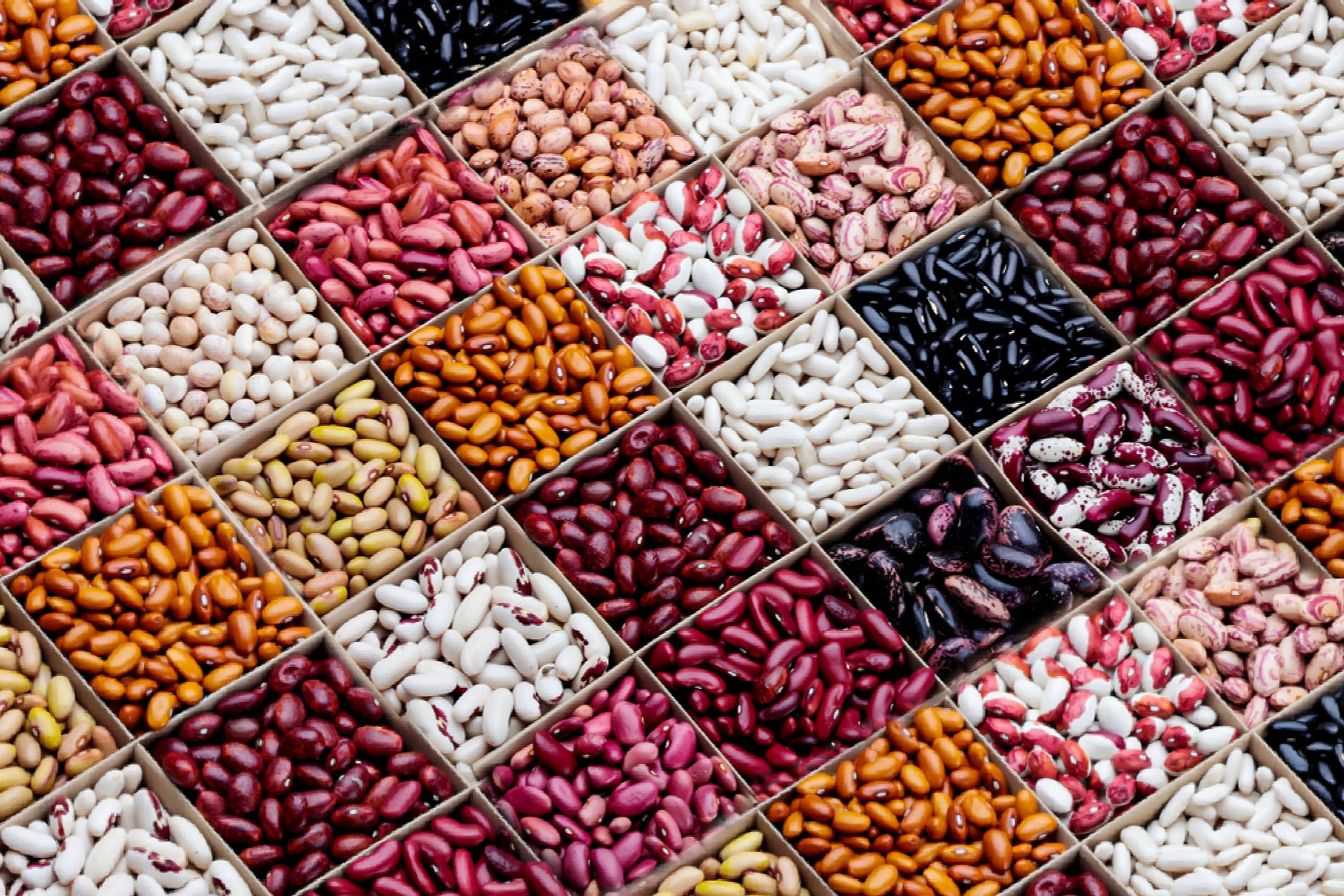 Seed Starting Ideas