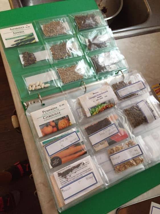 Hydroponic Gardening