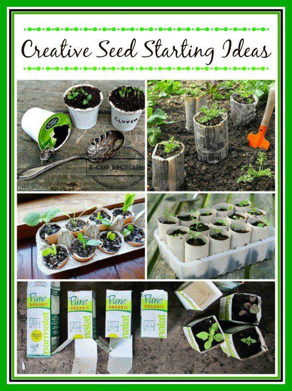 Organic Gardening Products