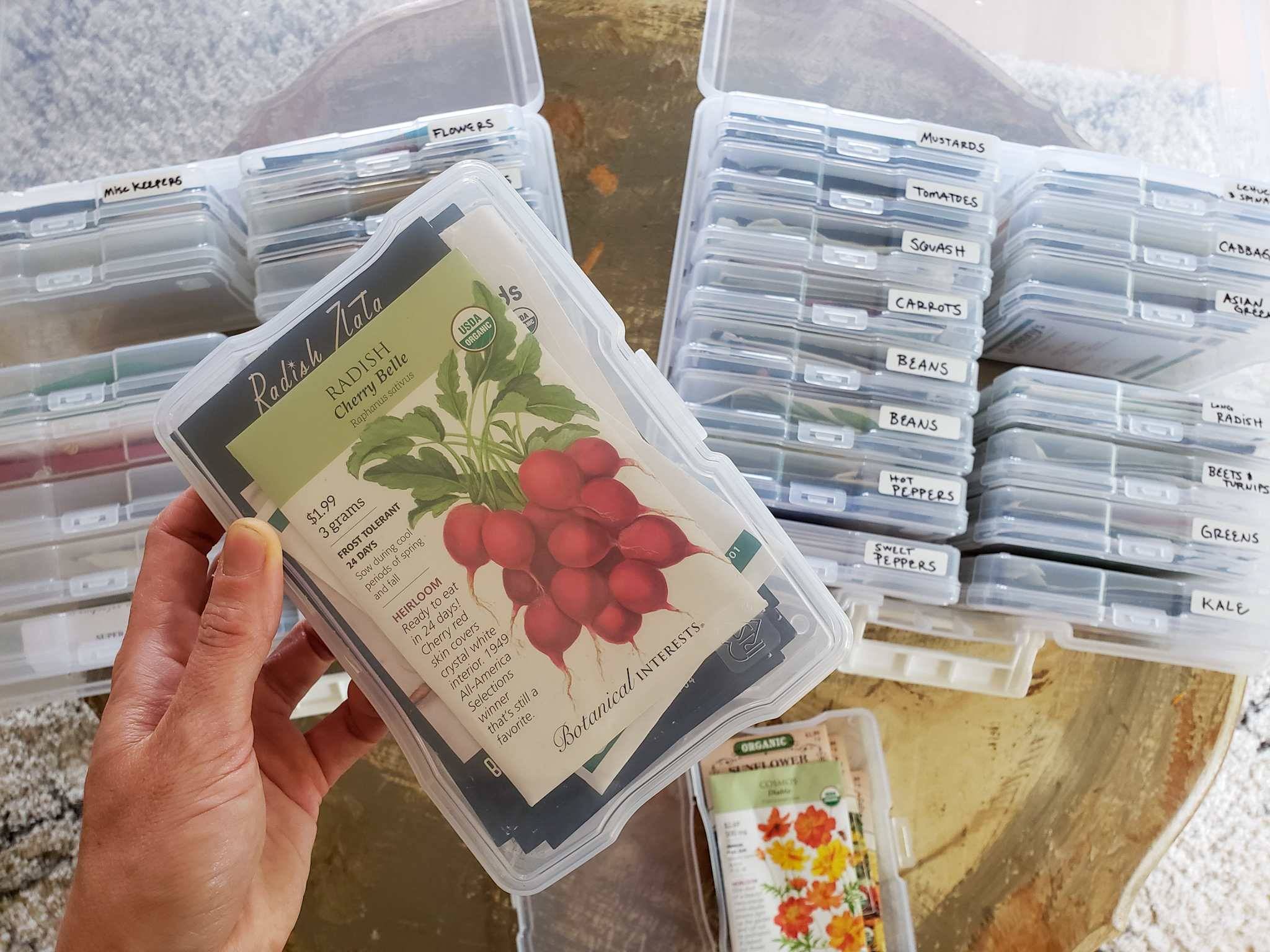 Simple And Creative Seed Storage Ideas Seed Storage Seed Saving