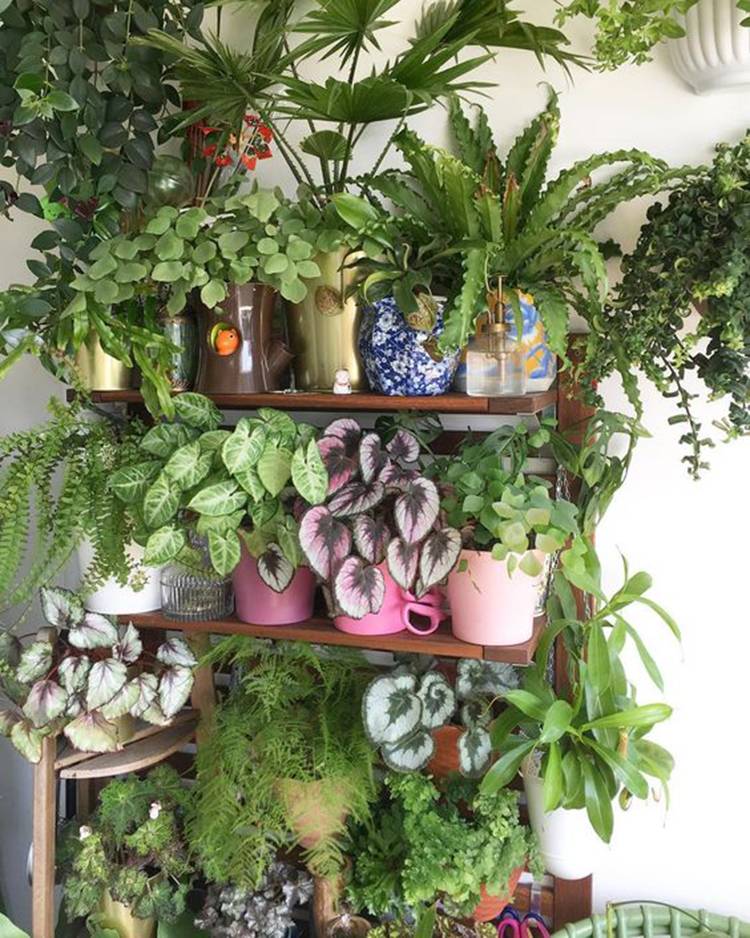 Gorgeous Indoor Garden Ideas