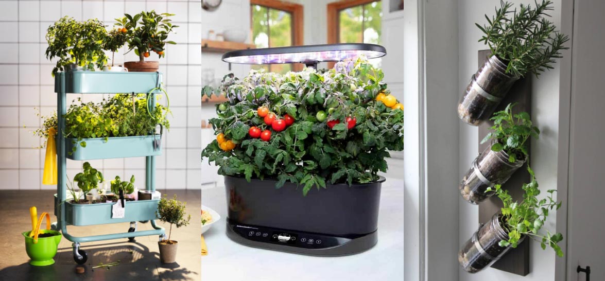 Diy Innovative Indoor Gardening Ideas
