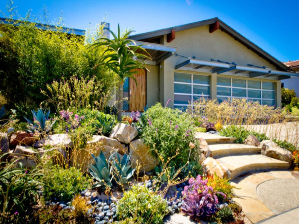 Drought Tolerant Landscaping Ideas